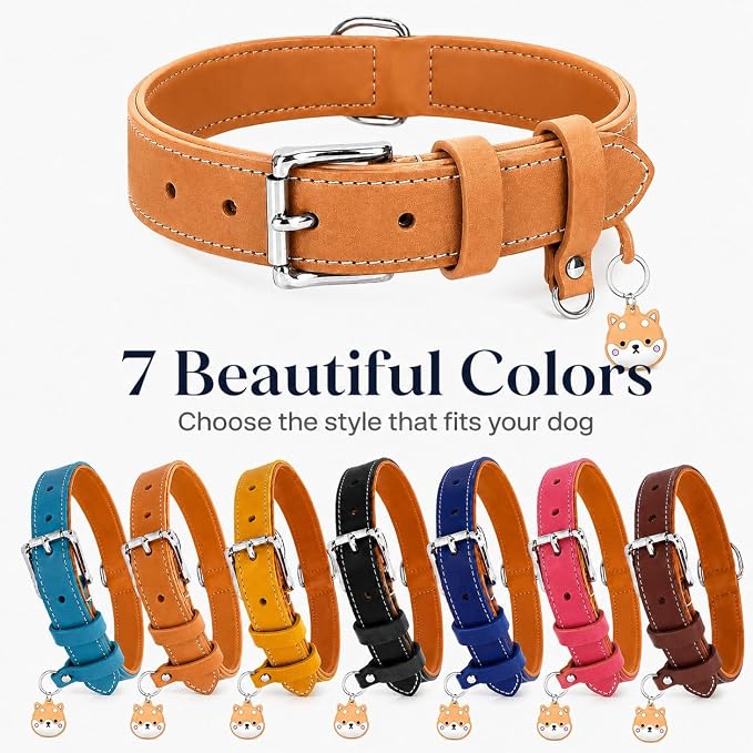 Genuine Leather Dog Collar, Soft Padded Leather Dog Collars with Airtag Holder Case for Small Medium Large X-Large Dogs,Comfort Heavy Duty Pet Collar with Durable Metal Buckle & D-Ring-Khaki/XL