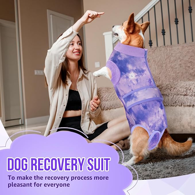 SlowTon Dog Surgery Recovery Suit - Zipper On Dog Onesies After Surgery for Female Male Dogs, Abdominal Wounds Bandages Cone/E-Collar Alternative Dogs Surgical Body Suit Anti-Licking (Purple, XXL)