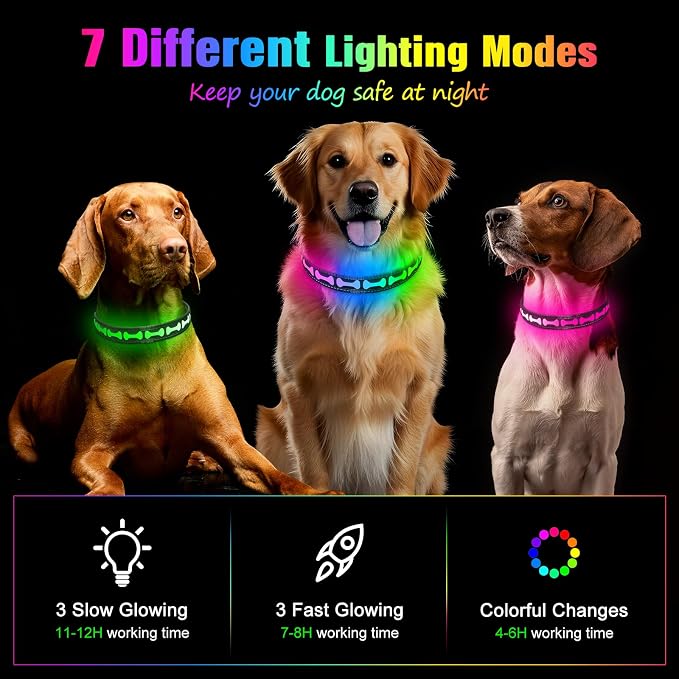 Flashseen LED Dog Collar Light up USB Rechargeable, 7-Color Glow, Grey, S