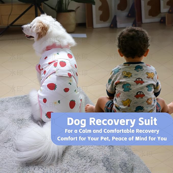 Dog Cat Recovery Suit Pet Glam After Surgery Onesie Cone Alternative Post Surgical Bodysuit Neuter & Abdominal Wound Care Cotton Prevents Licking Male Female (Fruit, XS)