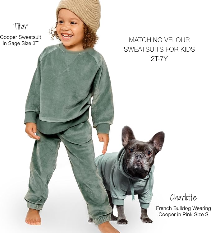 Cooper II Organic Cotton Velour Dog Hoodie Pet Coat for Small, Medium and Large Dogs, Sage, X-Large (55-80 lbs)