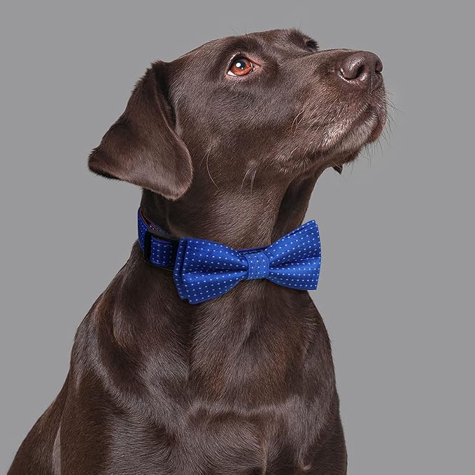 Dog Collar with Bow Tie for Girl or Boy Gift Soft Durable Bowtie Blue dot Large