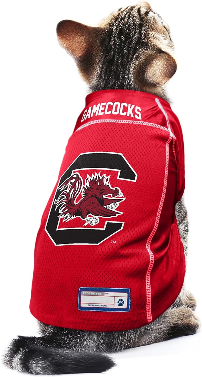 Littlearth Unisex-Adult NCAA Basic Pet Jersey