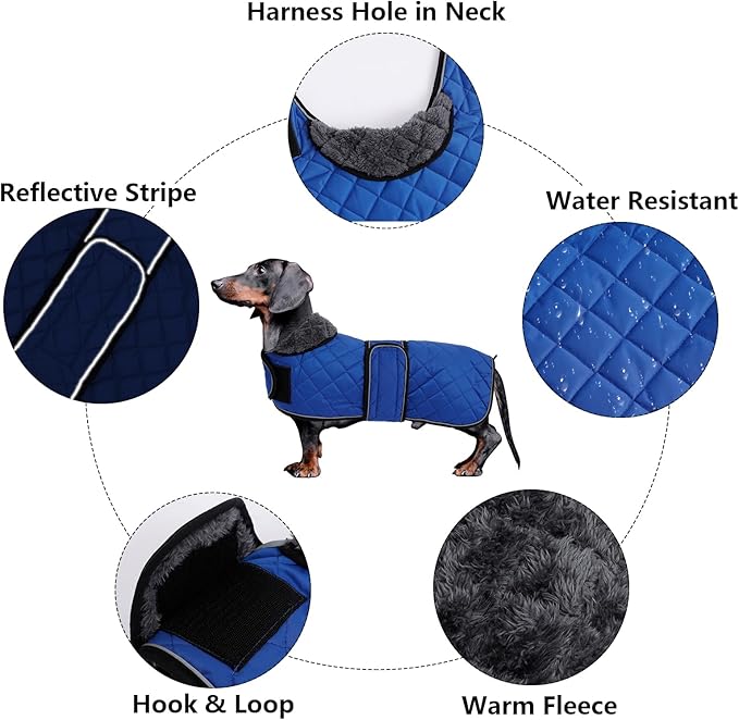 Dachshund Coat Dog Coats for Dachshunds Dachshund Winter Jacket with Padded Fleece Outdoor Dog Clothes with Adjustable Bands - Navy - L