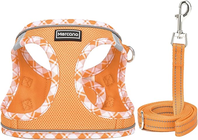Mercano Soft Mesh Dog Harness and Leash Set, No-Chock Step-in Reflective Breathable Lightweight Easy Walk Vest Harnesses with Safety Buckle for Small Dogs, Cats (Orange, M)