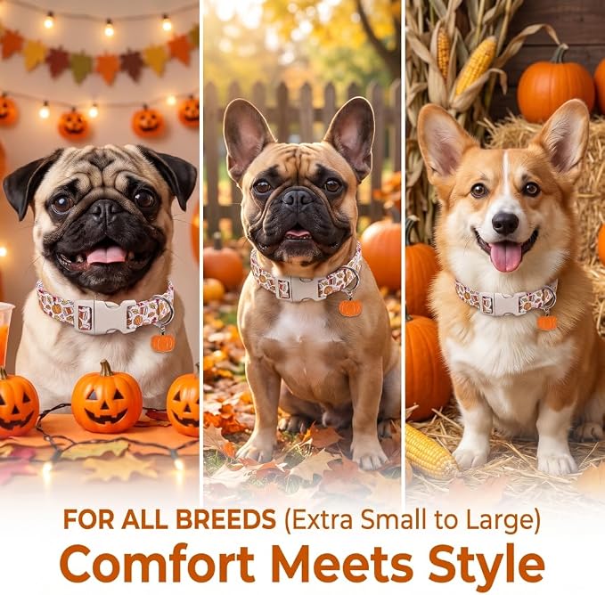 Fall Dog Collar, Puppy Collar for Extra Small Girls Boys Dogs, XS