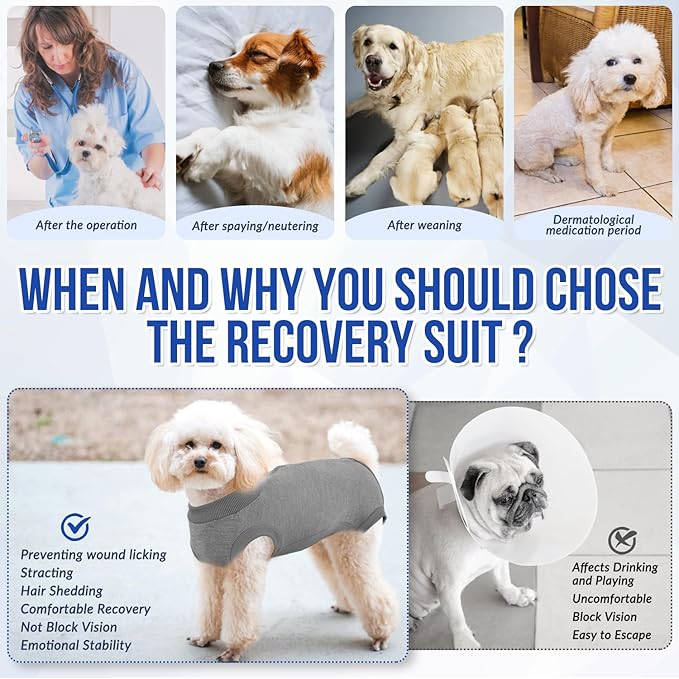 Lukovee Recovery Suit for Dogs, Onesie Surgery Recovery Suit for Female Male Dogs, Abdominal Wounds Cone E-Collar Alternative Prevent Licking Spay Recovery Suit (Grey,Small)