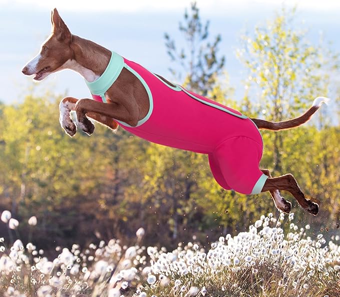 ROZKITCH Dog Surgery Leg Sleeve Rear Legs, Male Female Pet Prevent Licking Wound Elbow Knee Protector, Dog Recovery Suit Cone Collar Alternative Pants Shirt for Wound Heal Wrap Rosered S