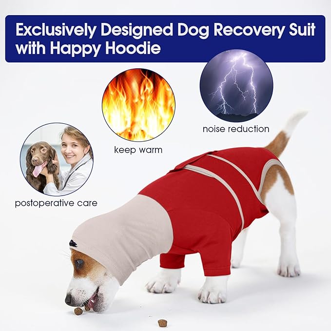 FUAMEY Dog Surgical Recovery Suit Female, Cone Alternative After Surgery Prevent Pets from Licking Wounds, Surgery Suit for Dogs Male Neuter, Post Spay Recovery Dog Onesie, Rat Terrier (Red, M)