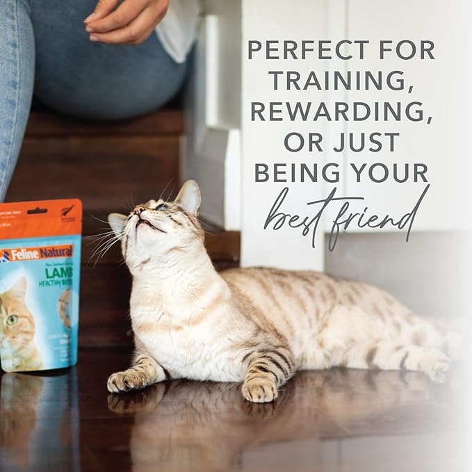 Feline Natural Freeze Dried Cat Treats – New Zealand Single-Source Protein Treats for Cats - Grain-Free Healthy Cat Snacks, Lamb Bites, 1.76oz