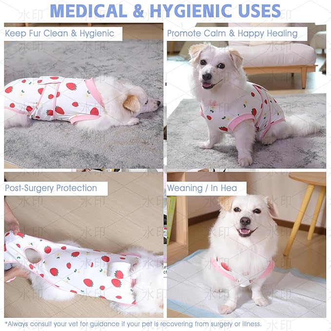 Dog Cat Recovery Suit Pet Glam After Surgery Onesie Cone Alternative Post Surgical Bodysuit Neuter & Abdominal Wound Care Cotton Prevents Licking Male Female (Fruit, XS)