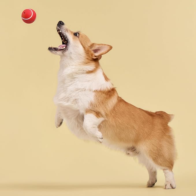 Playology Squeaky Chew Ball Dog Toy - Medium, Beef Scent