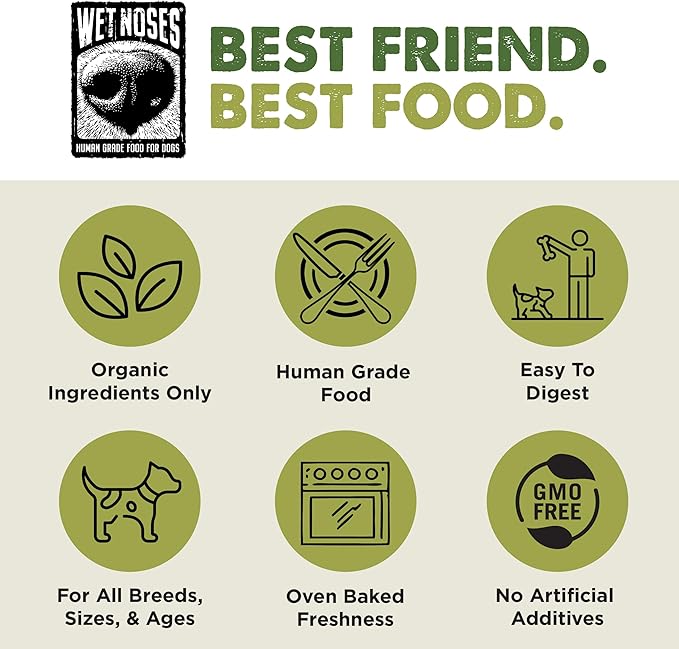 Wet Noses Organic Crunchy Dog Treats – All-Natural, Human-Grade, Non-GMO, Healthy Training & Delicious Snacks for Dogs, for All Dog Sizes & Breeds – Pumpkin & Quinoa, 14oz (2 Pack)