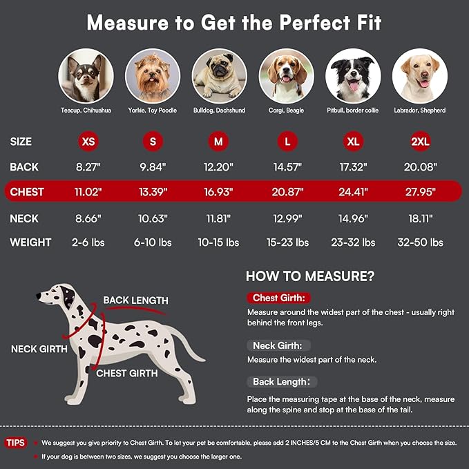 Queenmore Dog Sweater,Soft Fleece Vest Pullover Dogs Jacket with Elastic Stretchable,Warm Winter Dog Coats Cold Weather Doggy Dachshund Sweaters for Small Dogs Cats Boy or Girl (Red, S)