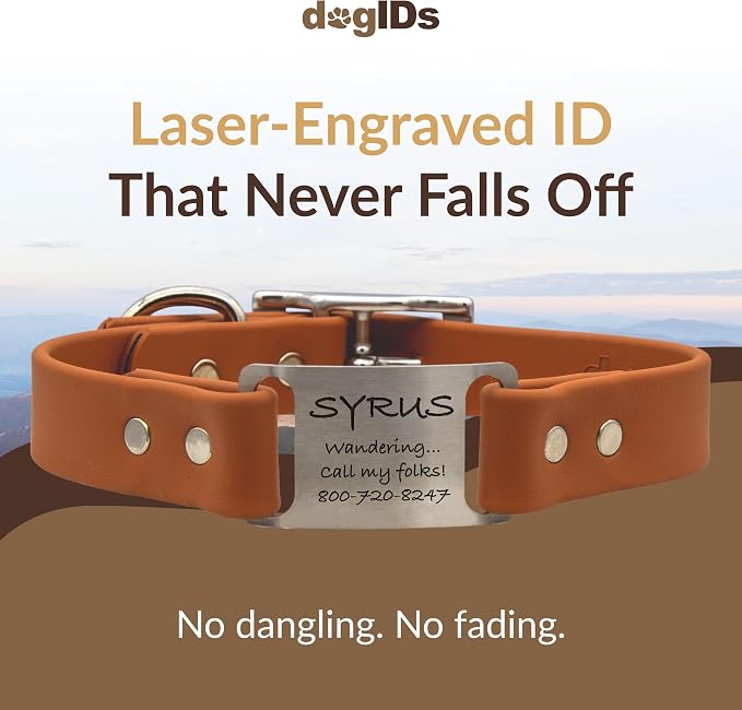 dogIDs Personalized Dog Collar – ScruffTag Custom Waterproof Biothane Dog Collar with Laser-Engraved Name, Durable & Odor-Resistant – USA Made | Terracotta, 1 in x 22 in (Fits Neck Sizes 20-24 in)