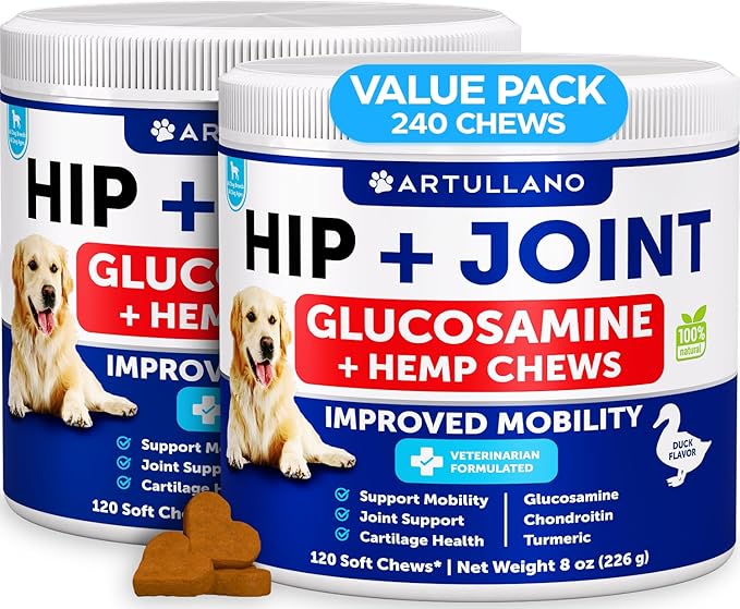 (2 Pack) Hemp Hip and Joint Supplement for Dogs - Glucosamine for Dogs Joint Pain Relief - Chews with Chondroitin, MSM, Hemp Oil - Mobility Support - Canine Cartilage Health - Made in USA