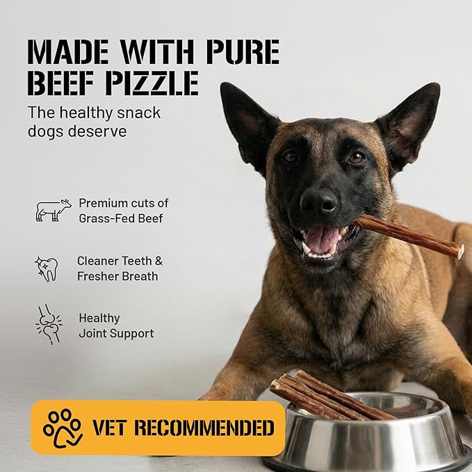 Dog Chits 6 inch Bully Sticks for Dogs & Puppies - 100% Beef Pizzle, High Protein, Low Fat Dog Chew Sticks - Baked, Low-Odor – Long-Lasting Chew, Keep Dogs Engaged & Happy - Made in USA - 20 Pack