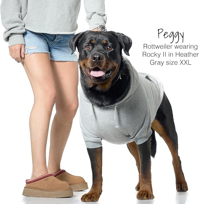 Rocky II - The Extra Comfy Hoodie, Organic Cotton and Recycled Poly Dog Hoodie Pet Coat Sweater for Small, Medium, Large Dogs, Heather Gray, X-Large