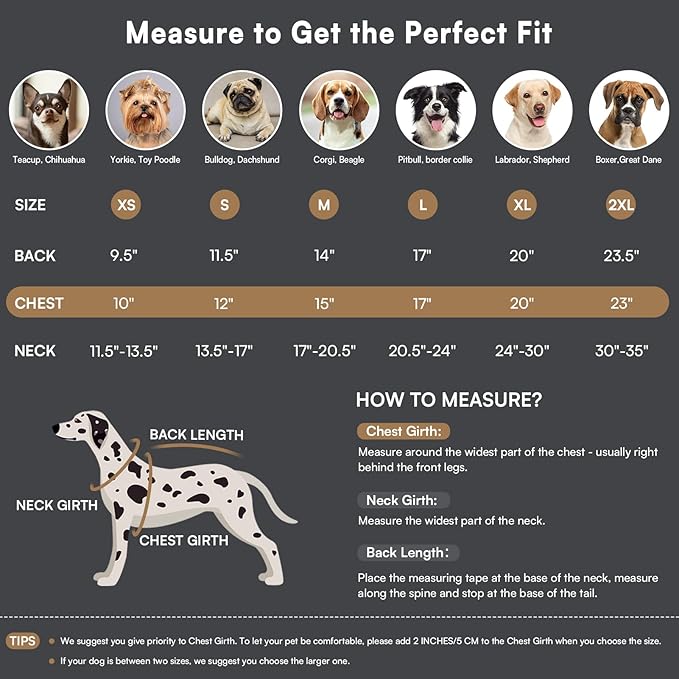 Queenmore XL Dog Jacket with Harness Built-in, Winter Coat for Extra Large Dogs, Warm Winter Jacket, Cold Weather Fleece Lined Waterproof Snow Parka Coat - Easy On Adjustable, Green/Black