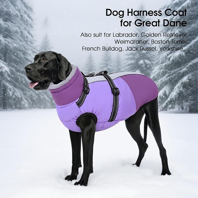 SUNFURA Dog Winter Coat, Warm Dog Coat with Harness for Medium Dogs Boys Girls, Reflective Fleece Lined Pet Winter Jacket Snowsuit for Pug, Jack Russel, Schnauzer, Purple M