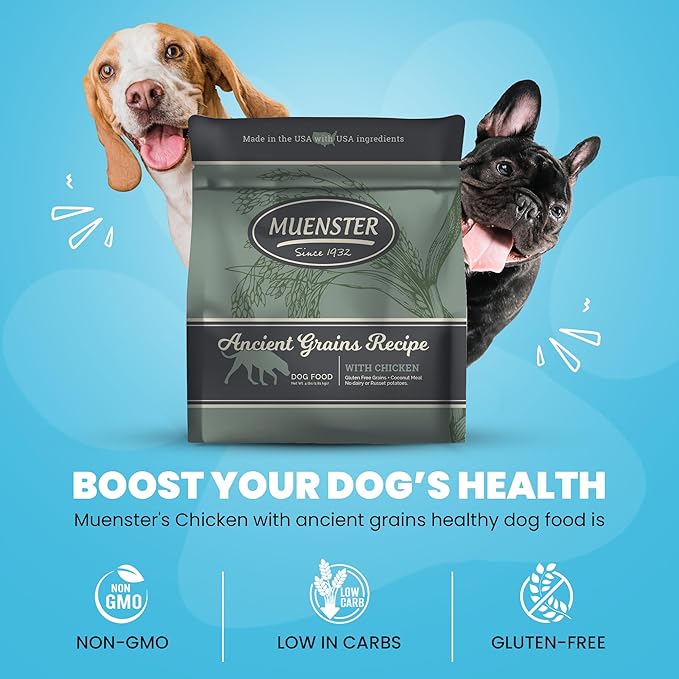 Muenster Ancient Grains Chicken Dry Dog Food, 4lb - Gluten-Free, High Protein, Digestive Support