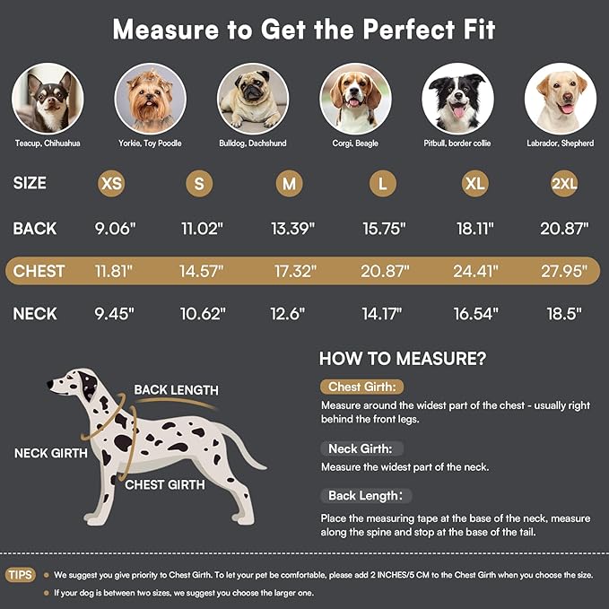 Queenmore Medium Dog Sweater,Dog Sweater for Medium Dogs Boys Girls,Christmas Sweaters for Dogs,DogSweater Knitwear Outfit,Thick Warm Pet Clothes for French Bulldog,Boston Terrier(Beige,M)