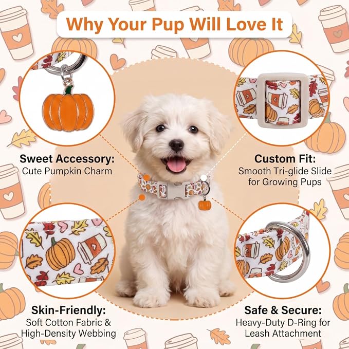 Fall Dog Collar, Puppy Collar for Extra Small Girls Boys Dogs, XS