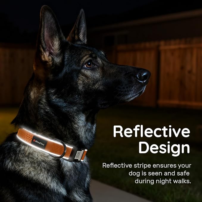 Personalized Dog Collar with QR Code Dog Tag, Oxford Orange L | Anti-lost, Oxford, reflective, padded, XS-L(8"-24"), QR buckle shares lost pet profile, location alerts when scanned, No Fees