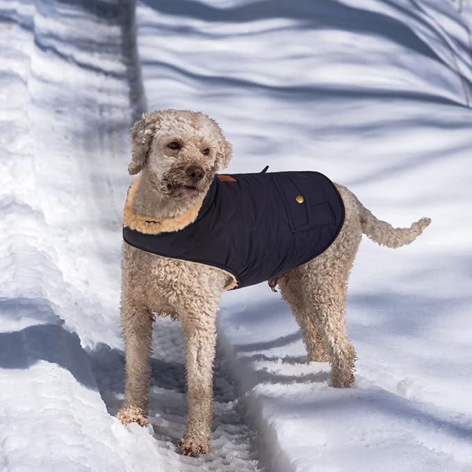 Queenmore Warm Puffer Dog Coat, Quilting Winter Jacket Ultra Thick Plush Lining with Storage Pockets (Dark Navy, Small)