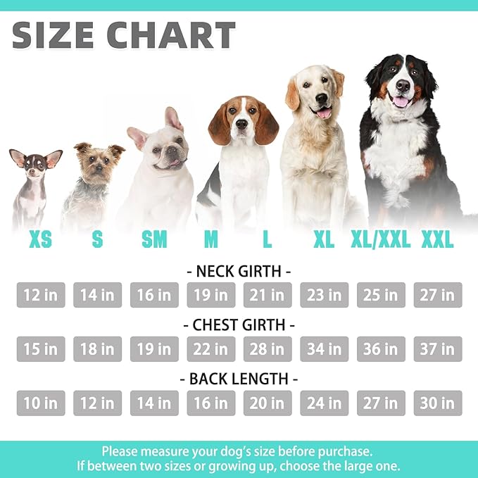 KOOLTAIL Basic Dog Hoodie - Soft & Warm Pet Hoodie Sweater with Leash Hole and Pocket, Dog Winter Coat, Cold Weather Clothes Sweatshirt for Small Medium Large Dogs Puppy Cat Boys Girls Lake Blue SM