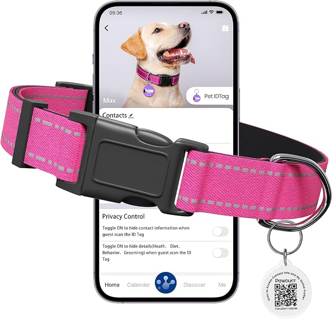 Personalized Dog Collar for Girl Dogs with Smart ID Tag, Hot Pink | Reflective Dog Collar with Smart QR ID Tag, Quick Release Buckle, Adjustable and Comfortable Nylon Pet Collar, Medium