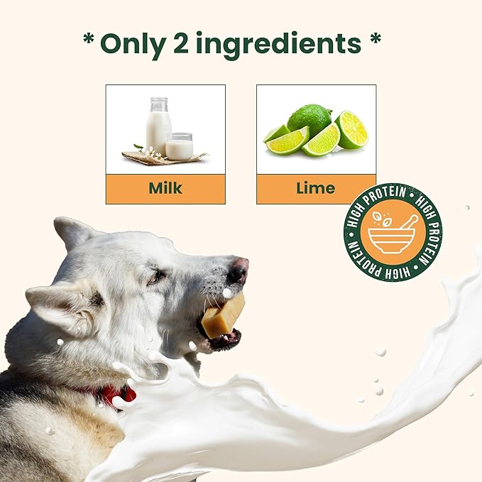 Authentic Himalayan Yak Cheese for Dogs - Medium (Pack of 3) - Sourced from Pristine Himalayan Foothill, Rawhide-Free, NO preservatives