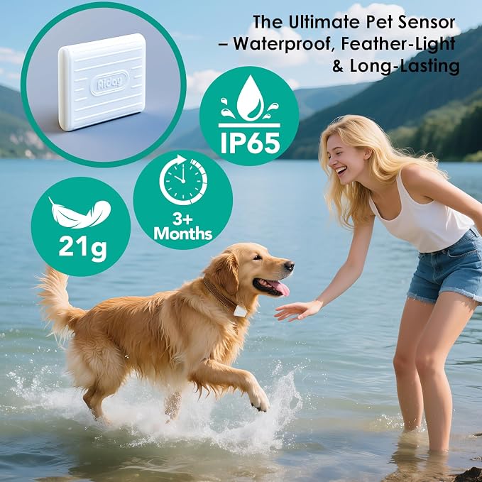 Automatic Dog Door with Collar Sensor, Up to 200 lbs, Electronic Extra Large Dog Door for Exterior Door with Mains-Powered, Timing Function, Anti-Pinch- XL