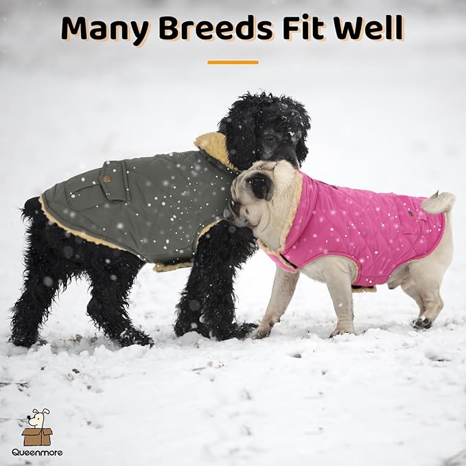 Queenmore Dog Winter Coat - Fleece Jacket, Waterproof Cold Weather Dog Clothes, Thick Warm Cotton Padding, Easy On Storage Pockets (Pink, Small)