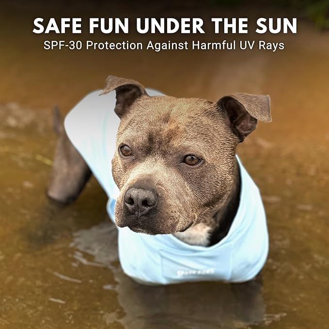 Spark Paws Sunblock Dog T-Shirt, SPF30 Protection, Lightweight Breathable Quick Dry for Dogs with Sensitive Skin - Blue & Grey (Set of 2) - XL