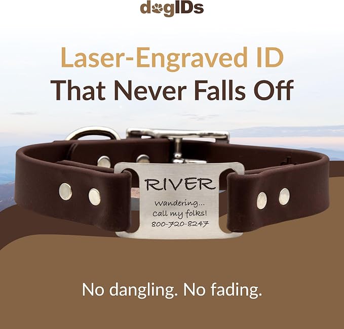 dogIDs Personalized Dog Collar – ScruffTag Custom Waterproof Biothane Dog Collar with Laser-Engraved Name, Durable & Odor-Resistant – USA Made | Brown, 3/4 in x 16 in (Fits Neck Sizes 14-18 in)