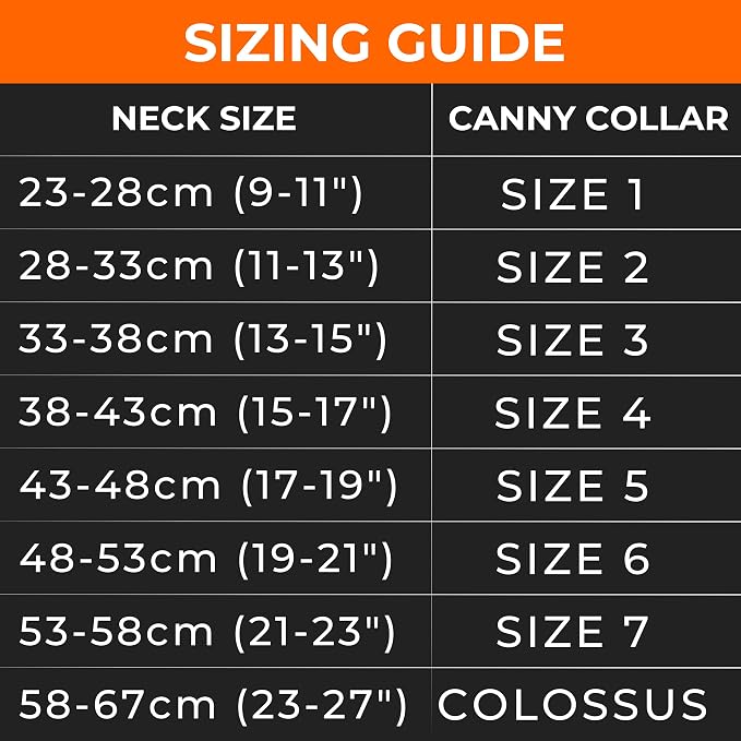 Canny Gentle No-Pull Dog Training Head Collar to Stop Pulling Purple Size 6