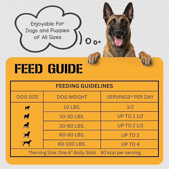 Dog Chits 6 inch Bully Sticks for Dogs & Puppies - 100% Beef Pizzle, High Protein, Low Fat Dog Chew Sticks - Baked, Low-Odor – Long-Lasting Chew, Keep Dogs Engaged & Happy - Made in USA - 20 Pack