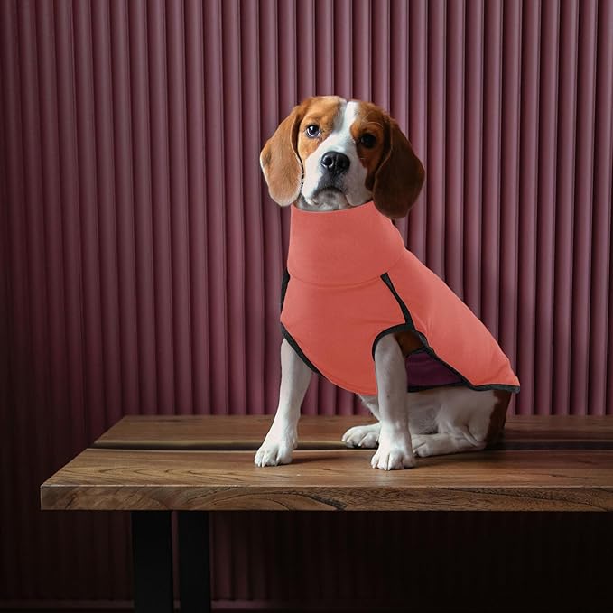 ROZKITCH Dog Winter Coat Soft Pullover Pajamas, Pet Windproof Warm Cold Weather Jacket Vest Cozy Jumpsuit Apparel Outfit Clothes for Small Medium Large Giant Walking Hiking Travel Orange L