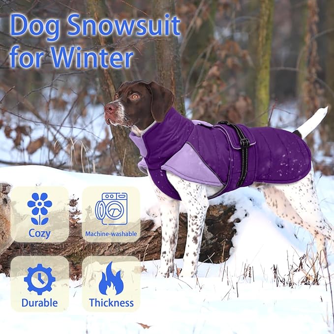 MIGOHI Snowproof Dog Coat - Thick Fleece Dog Jacket with Adjustable Collar, Keep Warm Winter Coat for Medium Dogs Cold Weather Walking Playing,Australian Shepherd,XL,Purple