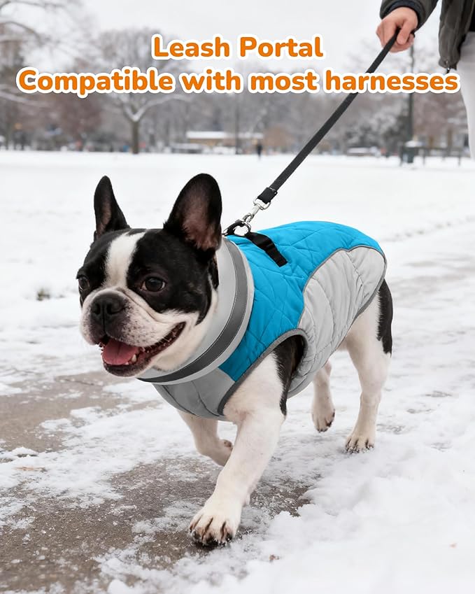 Dog Coat for Small Dogs, Adjustable Dog Jackets for Cold Weather, Reflective Winter Coat with Built-in Harness, Snowsuit Fits Dogs 5-8 lbs and Up, Size XS Blue