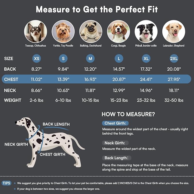 Queenmore Dog Sweater,Soft Fleece Vest Pullover Dogs Jacket with Elastic Stretchable,Warm Winter Dog Coats Cold Weather Doggy Dachshund Sweaters for Small Dogs Cats Boy or Girl (Grey, M)