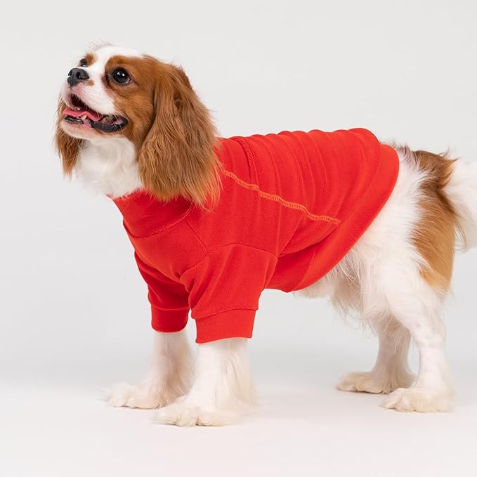 Fitwarm 3 Pack Classic Fleece Dog Sweater, Winter Clothes for Small Dogs Boy Girl, Turtleneck Dog Sweatshirt, Pet Apparel, Orange Red, Royal Blue, Neon Yellow, Medium