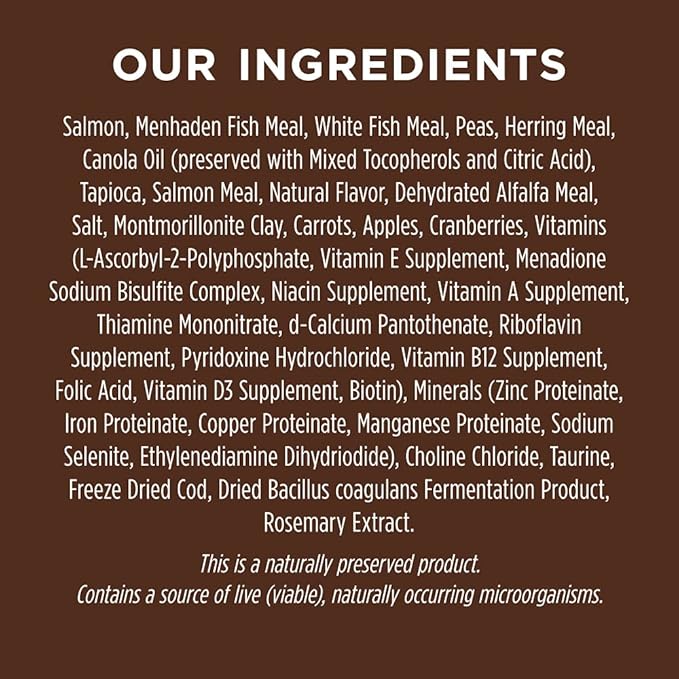 Instinct Original Dry Cat Food, Raw Coated Kibble, High Protein, Grain Free Recipe - Real Salmon, 10 lb. Bag