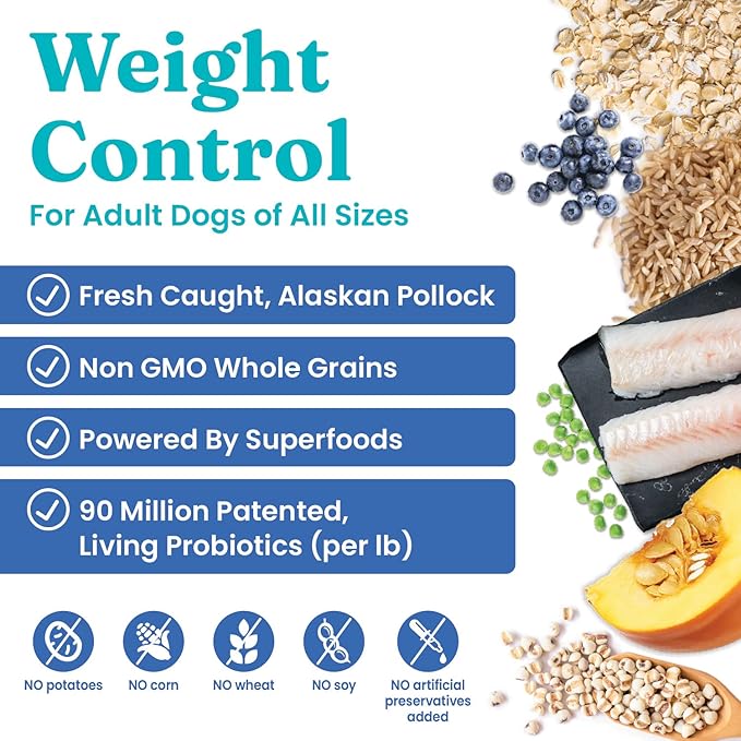 Solid Gold Healthy Weight Management Dry Dog Food for Adult & Senior Dogs - With Pollock, Whole Grain & Probiotics for Gut Health & Digestion Support - Dry Dog Food for Weight Management Support –24LB