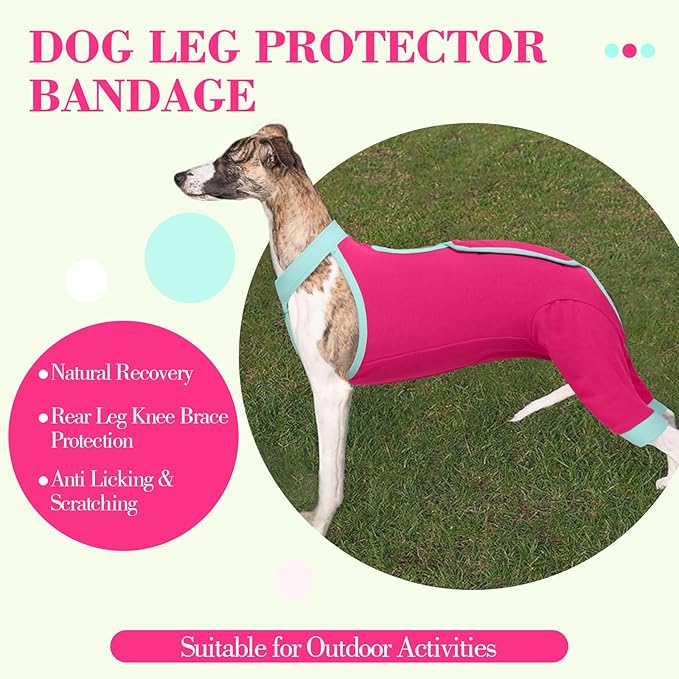 ROZKITCH Dog Surgery Leg Sleeve Rear Legs, Male Female Pet Prevent Licking Wound Elbow Knee Protector, Dog Recovery Suit Cone Collar Alternative Pants Shirt for Wound Heal Wrap Rosered S