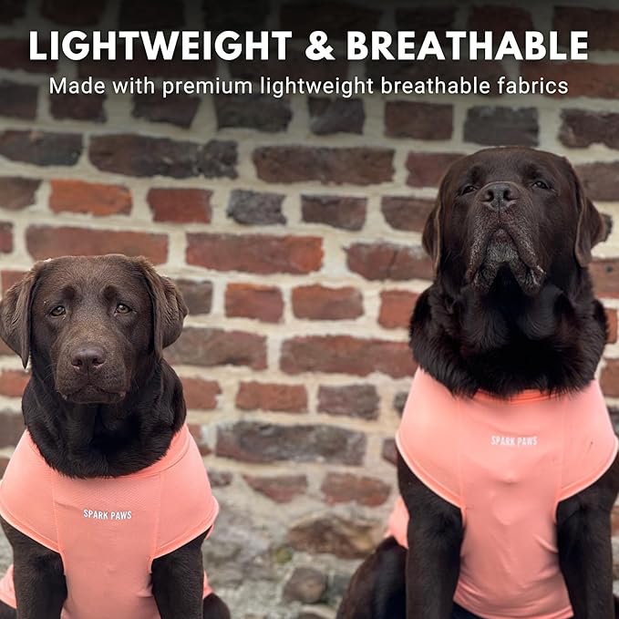 Spark Paws Sunblock Dog T-Shirt, SPF30 Protection, Lightweight Breathable Quick Dry for Dogs with Sensitive Skin - Peach & Mint (Set of 2) - XL