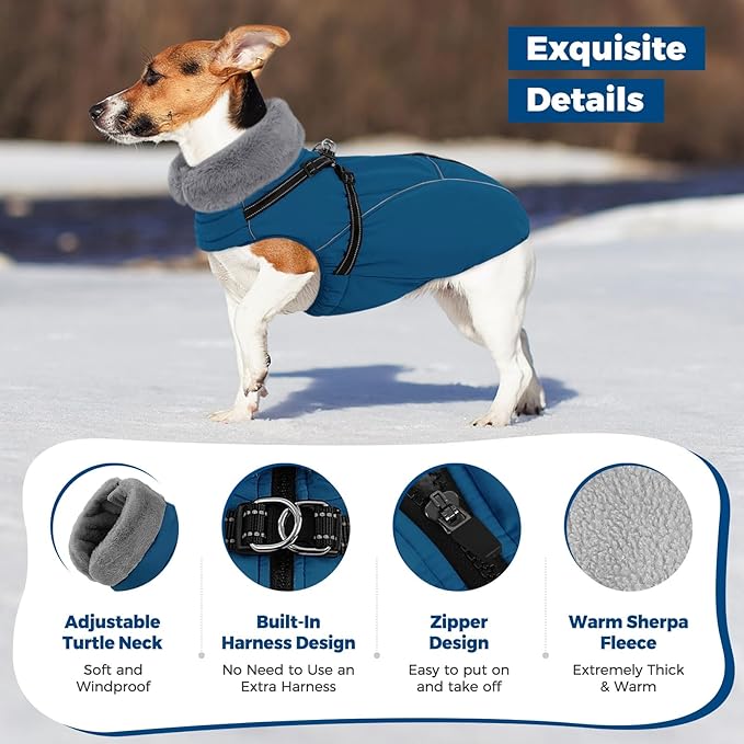 Queenmore Dog Coat,Windproof Dog Coat for Medium Dogs,Dogs Jackets with Harness Built in,Waterproof Doggy Coats with Zipper On Back,Reflective Cold Weather Coats for Dachshund，Boston Terrier,Blue,M