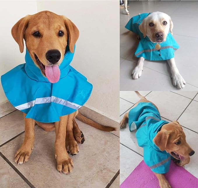 HAPEE Dog Raincoats with Reflective Strip Hoodie,Poncho Jacket for Large Dogs fit Golden Retriever Doodle (C3-Lake Blue, 16A (20-30 lbs))