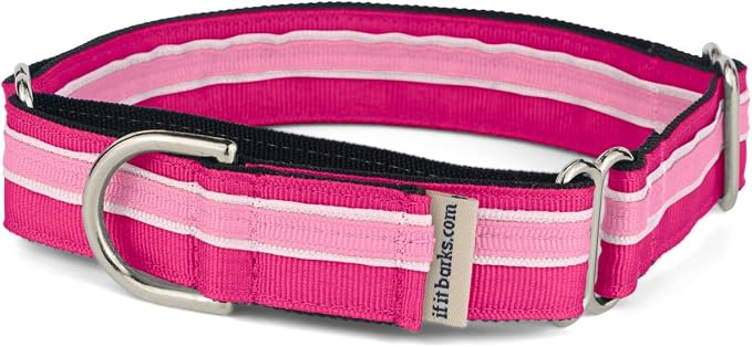 If It Barks 1" Martingale Collar for Dogs, Adjustable Nylon, USA Made, Small, Bubble Gum